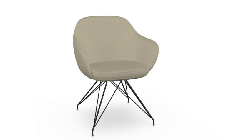 itItaliski valgomojo baldai kede-Cadira Wire F10