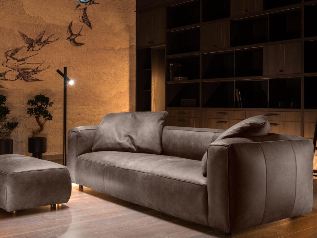 Odinė sofa moderni Kler Camerton