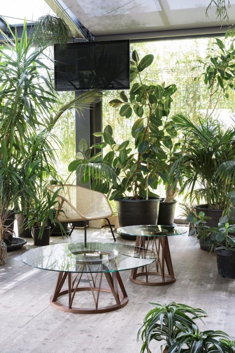 ACCO miniforms modernus stiklinis apvalus kavos ir žurnalinis staliukas svetainei (1)