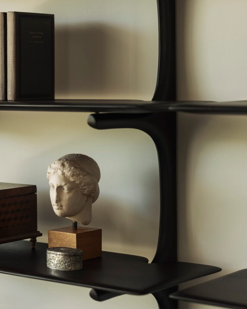 29789 Lentyna PI juodo medžio atvira 100x35x196h cm (19)